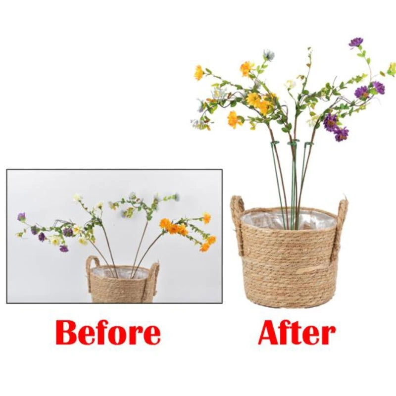 Plant Potted Flower Shape