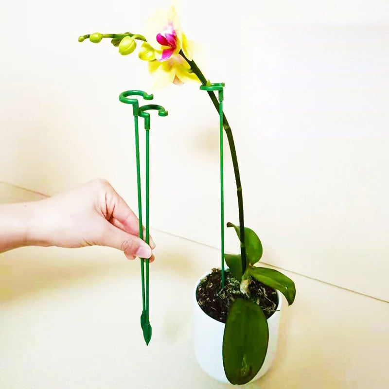 Plant Potted Flower Shape