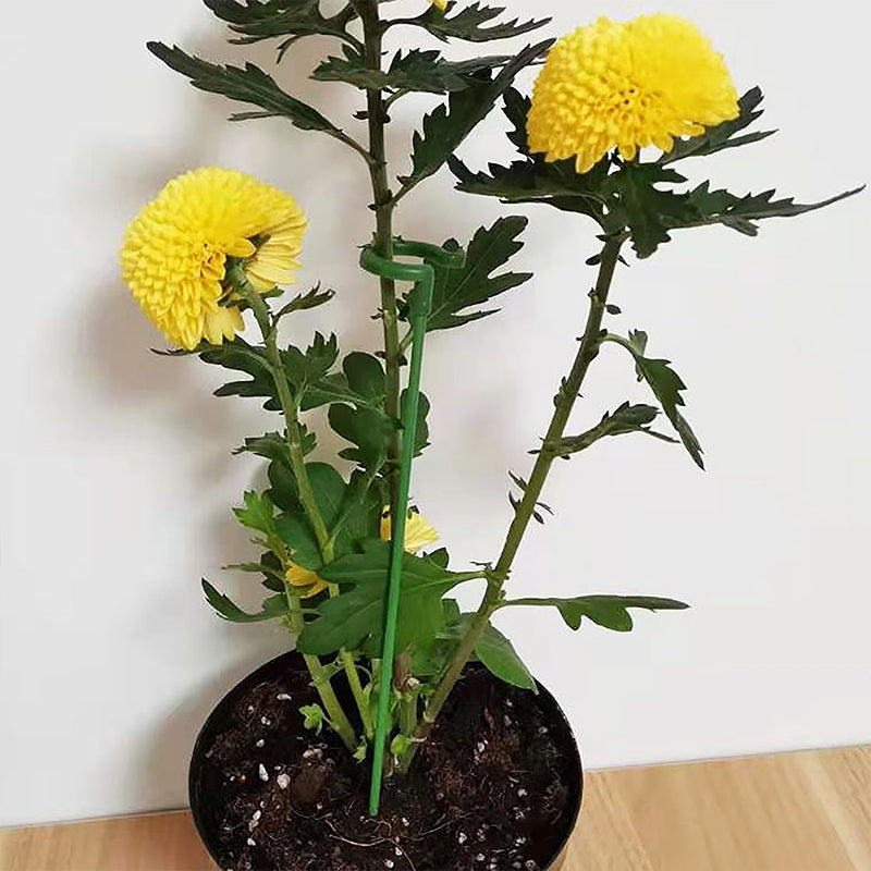 Plant Potted Flower Shape