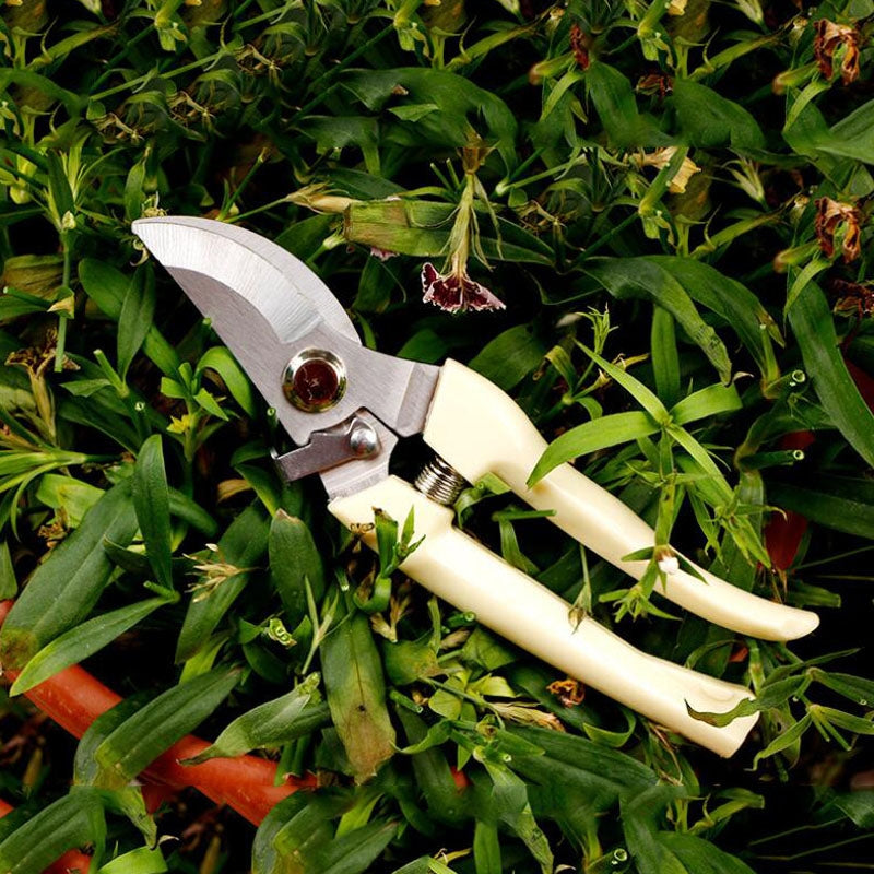 Tree Scissors Garden