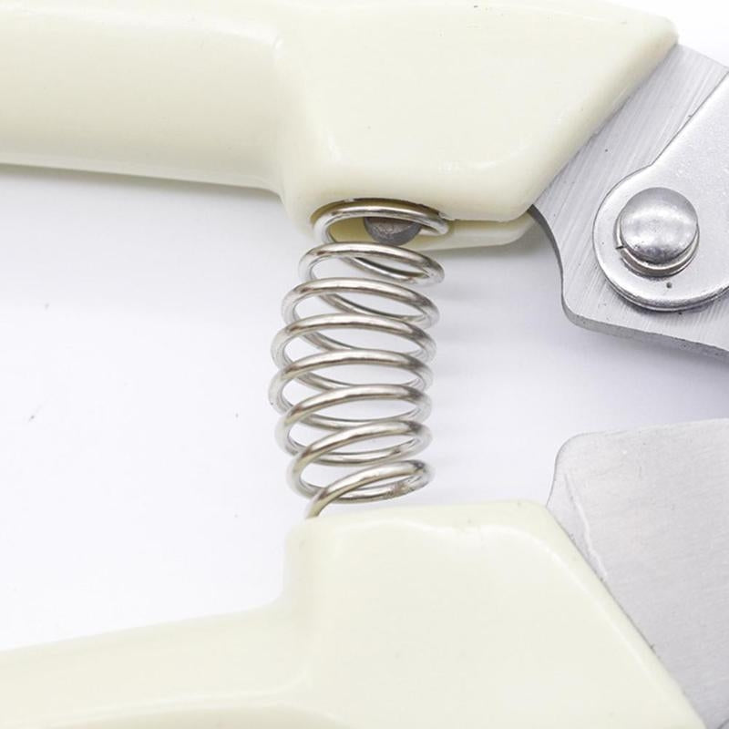 Tree Scissors Garden