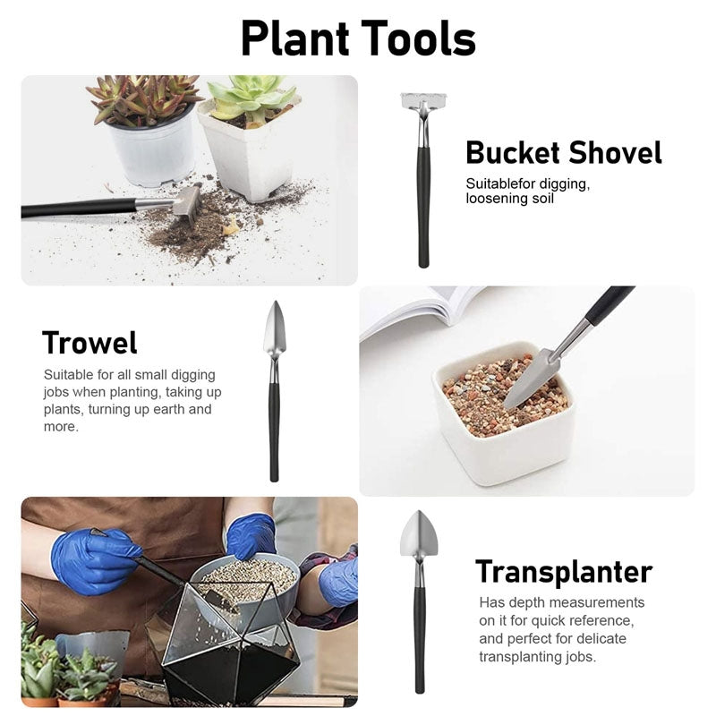 Succulent Plant Gardening Tools