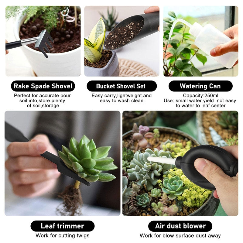 Succulent Plant Gardening Tools